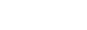 Decoy logo